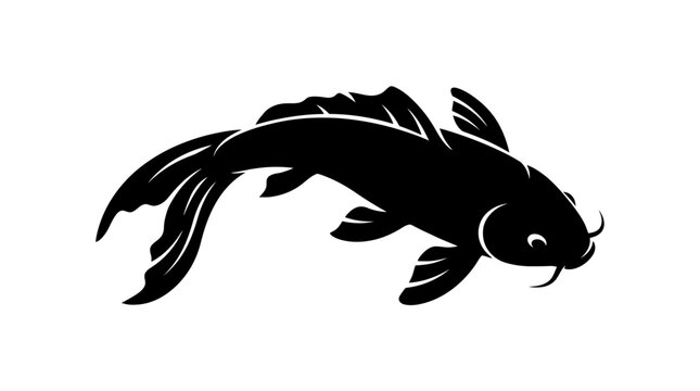 Black Koi Fish Swimming Profile.