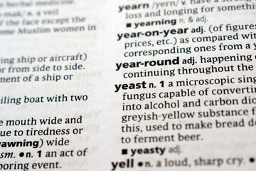 Fototapeta premium Close Up Of English Explanation Dictionary Page Word Of - yeast