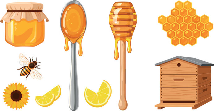 Honey and Beekeeping Vector Set Featuring Honey Jar Spoon Dipper Honeycomb Beehive Wooden Bee Hive Sunflower and Lemon Slices