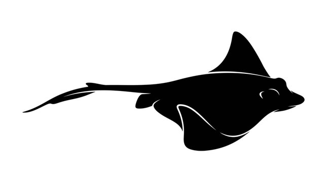 Black silhouette of a stingray swimming.