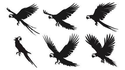 Naklejka premium Six black silhouettes of parrots in various flying poses against a white background, illustrating different stages of avian flight.