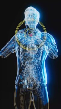 Conceptual 3D animation of an x-ray man with visible thyroid gland in vertical format
