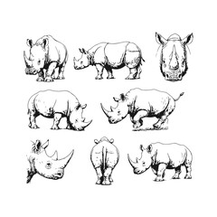 Simple hand drawn rhino safari animal sketch set, engraved rhinoceros african fauna illustration clip art © Leg_IO