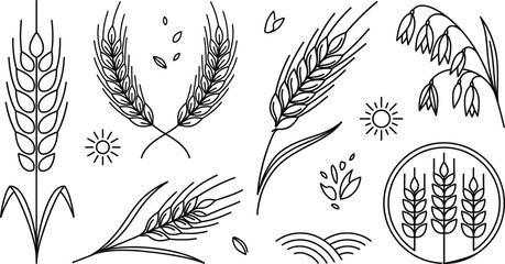 Agriculture wheat stalk line icon set featuring barley rye oats grains field harvest organic cereal ears crop vectors © MdShakib