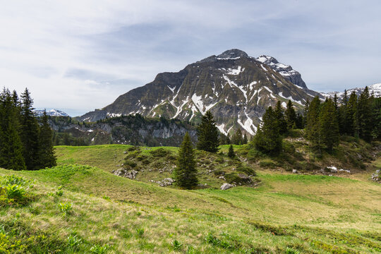 panorama with wooden holiday house on spring colored meadows. spring in forested mountains with foggy sky. hiking area in Bregenz forest, Vorarlberg, Austria. holiday destination for hike and skiing