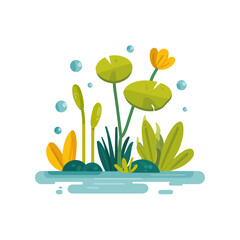 Fototapeta premium Colorful Aquatic Plants and Flowers with Bubbles