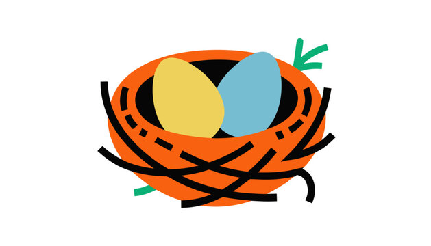 Eggs in nest