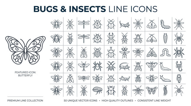 Set of 50 bugs and insects line icons, vector illustration of various creepy crawlies