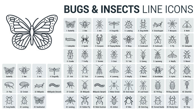Set of line icons of various bugs and insects, including butterfly, bee, ant, dragonfly, beetle, and more