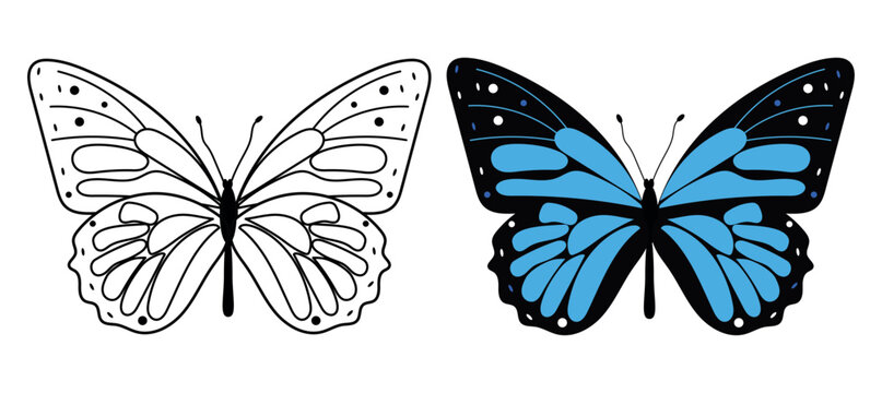 Butterfly coloring page for kids, vector outline and colored monarch butterfly illustration for coloring book.