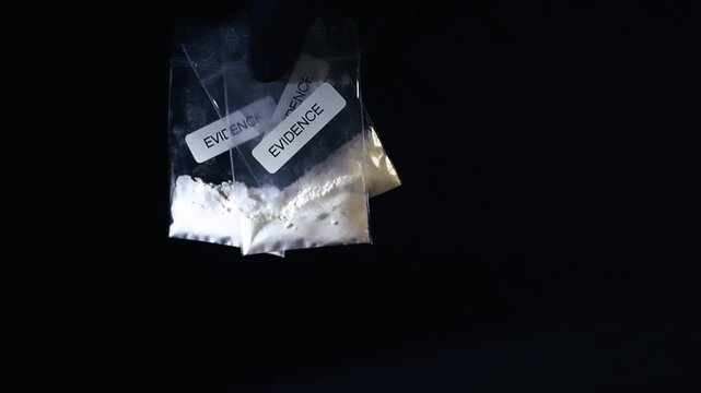Gloved hand of a crime scene investigator holding several plastic bags filled with white powder, labeled as evidence and isolated on a black background during a criminal investigation