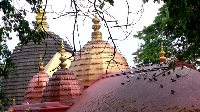 Composite shot of Maa Kamakhya Temple with Pigeons on top in Guwahati Assam