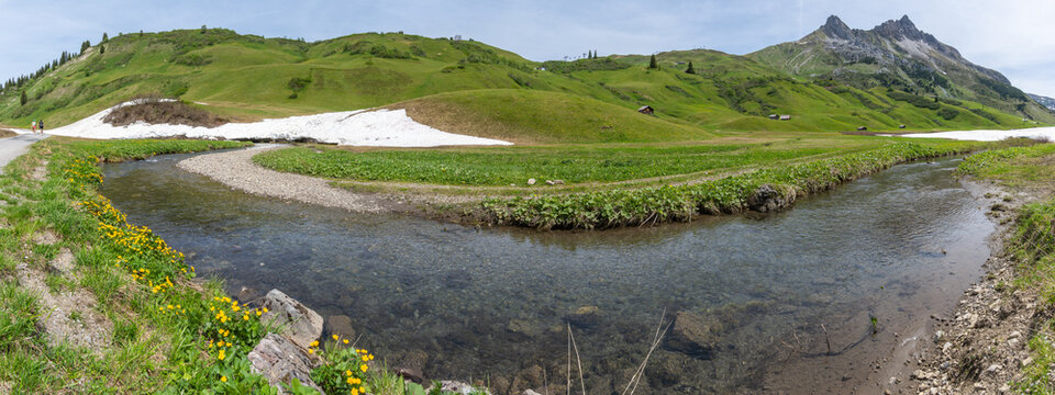 Panorama with rest from avalanche besides spring flowers, crocuses and globe flowers, snow melting in the Alps of Vorarlberg make tunnel in the avalanche, snow on the mountains melts, snow fields