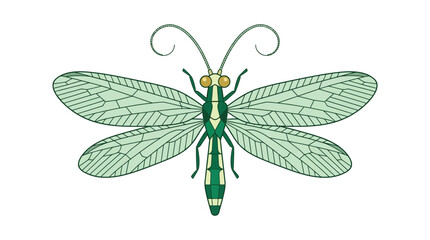 Green insect with large wings. © Yasmin
