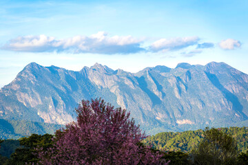 Obraz premium Doi Luang Chiang Dao Mountain Morning Sunrise, Chiang Mai Thailand