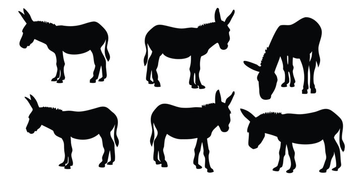 Donkey silhouette vector set, Domestic donkey farm livestock black silhouette bundle