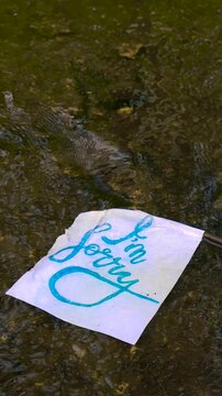 Apology letter with the words i'm sorry handwritten in blue ink floating down a shallow river, symbolizing letting go, forgiveness, or a message being lost and carried away by the current