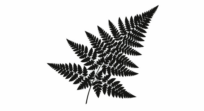 Solid black silhouette of a detailed fern leaf frond isolated on white background. Features intricate botanical vein patterns and sharp foliage edges for minimalist nature design.