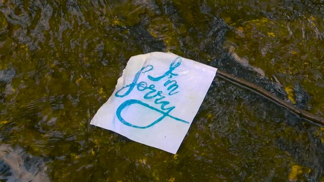 Crumpled piece of paper with the handwritten words I'm sorry getting caught on a branch while floating down the current of a shallow, murky river, symbolizing regret and forgiveness