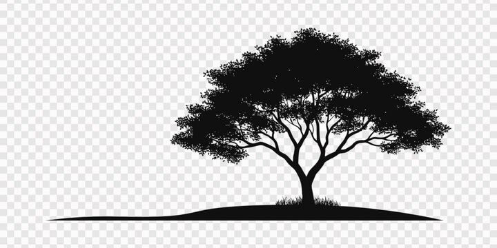 tree silhouettes, Vector illustrations of silhouette seedling young fruit trees with roots and fruits, Beautiful vector tree illustration silhouette icon for websites, Isolated tree