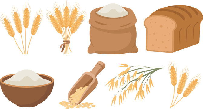 Wheat, flour, rice and bread icons set in flat vector style, clean illustration collection representing staple foods, agriculture, nutrition, and daily diet essentials for food industry and packaging 