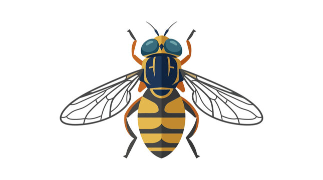 Detailed illustration of a fly.