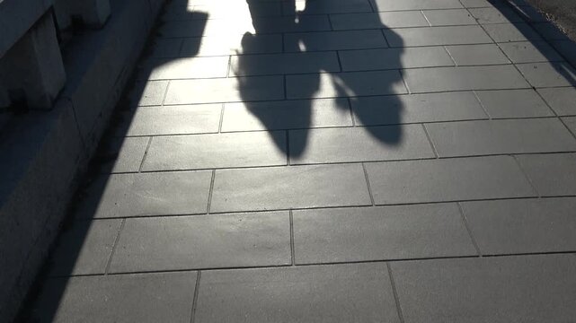 並んで歩く2人の影