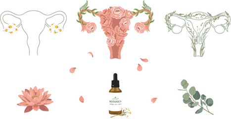 Fototapeta premium Anatomy of Female Reproductive System and Floral Uterus Vector Icon Set with Organic Essential Oil and Botanical Flowers for Women Health Designs