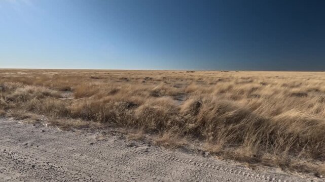 View from the car window of the Namibian savannah and mountains, car trip through Africa