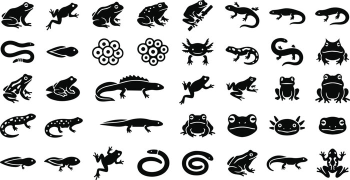 Amphibian and reptile silhouette icons featuring frogs and lizards