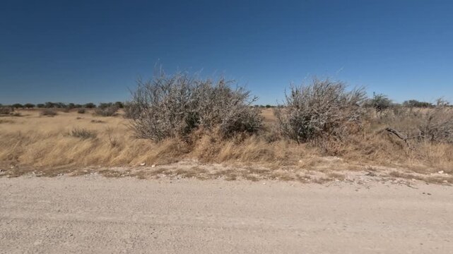 View from the car window of the Namibian savannah and mountains, car trip through Africa