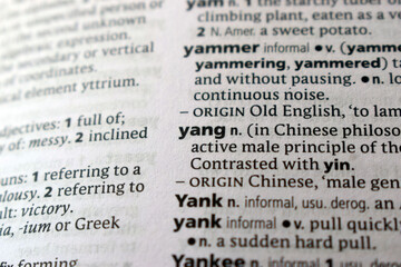 Fototapeta premium Definition Of English Dictionary Close Up Of Page With Word - yong