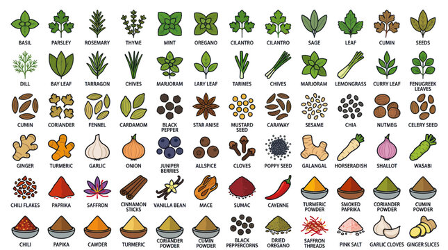 Culinary herbs and spices icon set with labels for cooking