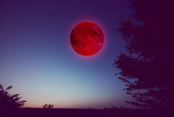 Fototapeta premium Lunar eclipse, stars and planets above landscape silhouettes.