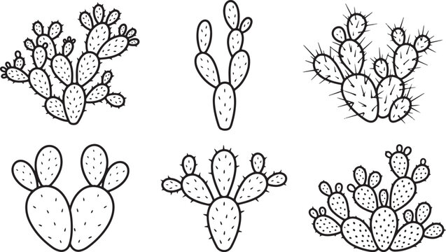 Six distinct black and white line of prickly pear cacti, each with unique arrangements of pads and spines