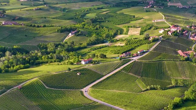 Aerial View of Rolling Green Vineyards and Rural Village in Piedmont Italy