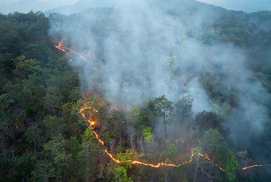 Wildfires in tropical forest release carbon dioxide (CO2) emissions and other greenhouse gases (GHG) that contribute to climate change.