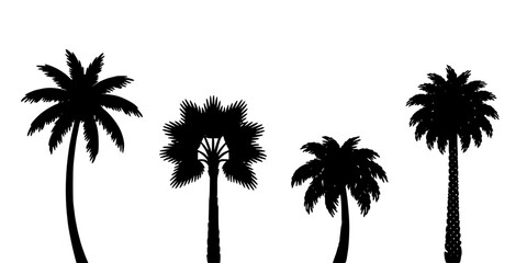 Fototapeta premium Palm Trees Silhouettes Arranged on White Background, Stylized Tropical Vegetation Icon Set Featuring Silhouette, Foliage, Nature with Landscape