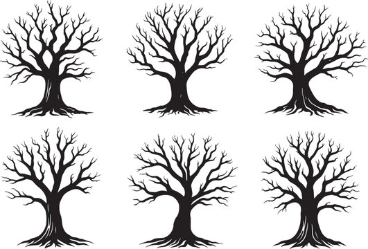 Six silhouetted bare trees with intricate branching and exposed roots on white background branches