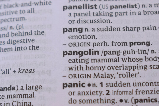 Detail Of English Dictionary Page And Word Explanation Of - pang