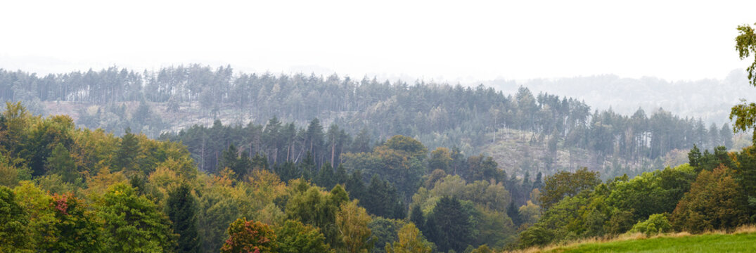 panorama landscape of forest tree hills and mountains in autumn. far away foggy trees landscape isolated on white or transparent png