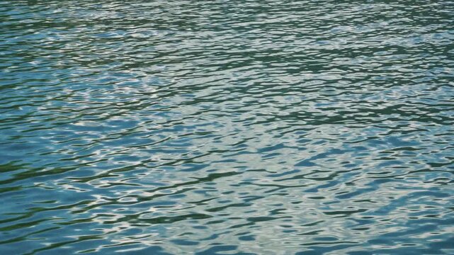 Water Ripples Moving Across Reflective Surface Static Shot