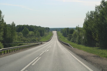 Fototapeta premium the track is a beautiful road, a forest edge,