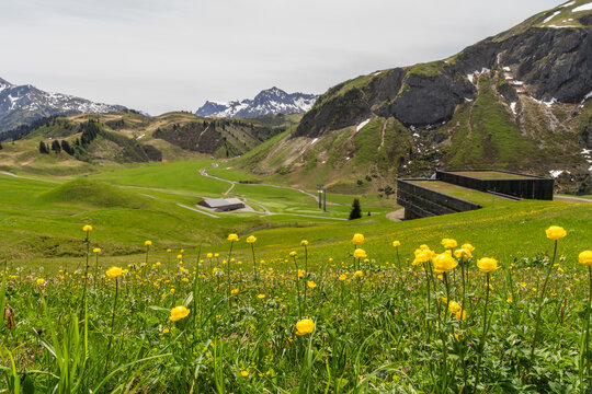 Ski lift valley station near Lech am Arlberg, mountain railway in spring on a blooming alpine meadow, many different alpine flowers form a colorful pasture for the cows