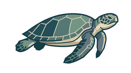 Green Sea Turtle Swimming Underwater. © Alpin