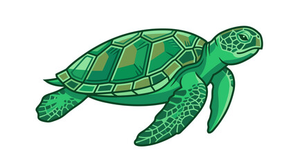 Green Sea Turtle Swimming Alone. © Alpin