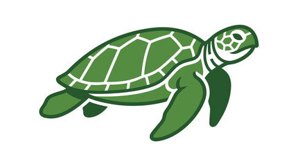 Green Turtle Swimming in Ocean Water. © Alpin