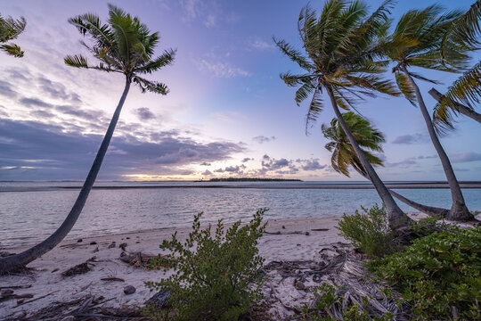 Sunset on a tropical palm beach