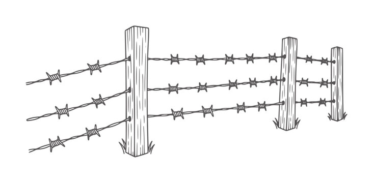 Hand drawn barbed wire fence with wooden posts and grass