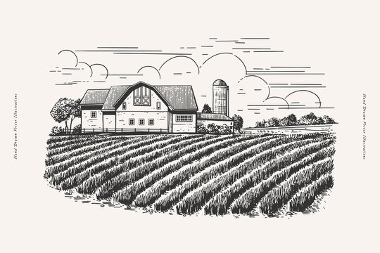 Rural landscape with field, old house, trees. Panorama of a farmer's village house and a vegetable garden with beds. Farmland in engraved vintage style.